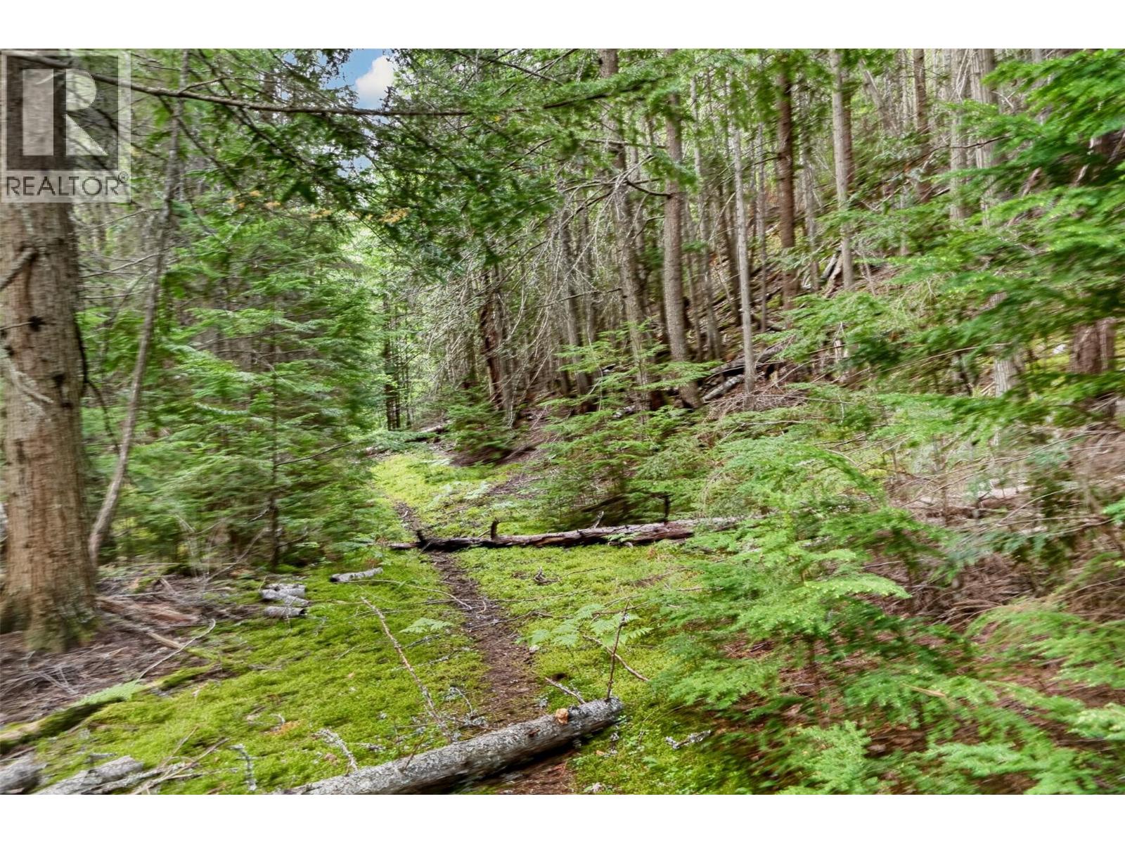 4761 Highway 31, Fletcher Creek, British Columbia  V0G 1M0 - Photo 44 - 10389227