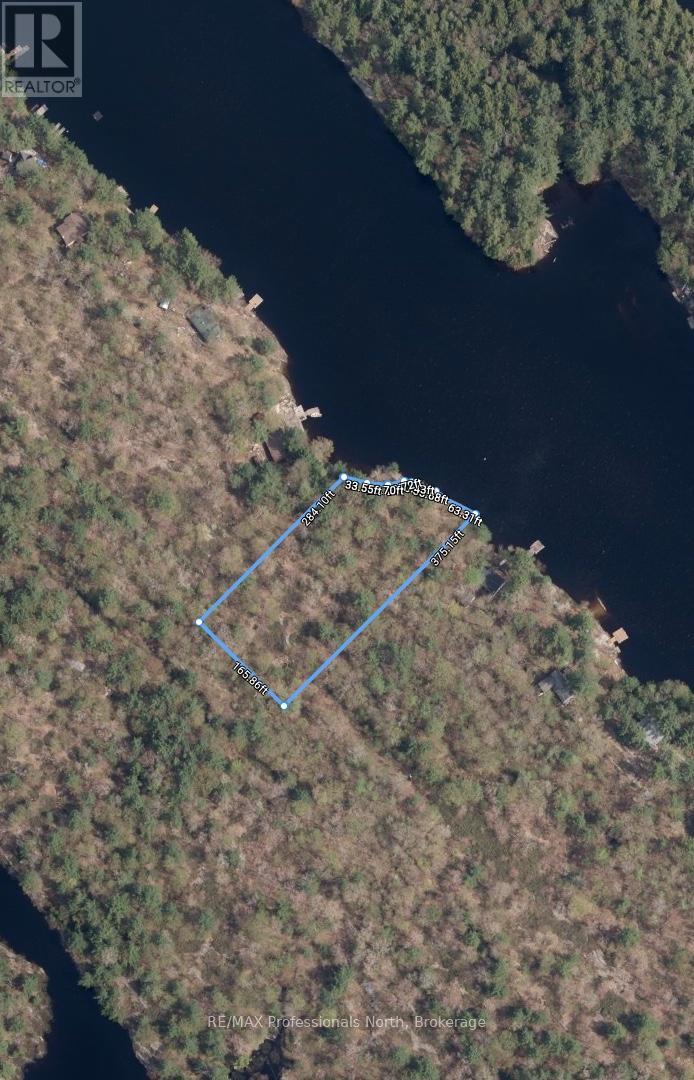 303 Nine Mile Lake, Muskoka Lakes, Ontario  P1L 1W8 - Photo 32 - X13217814