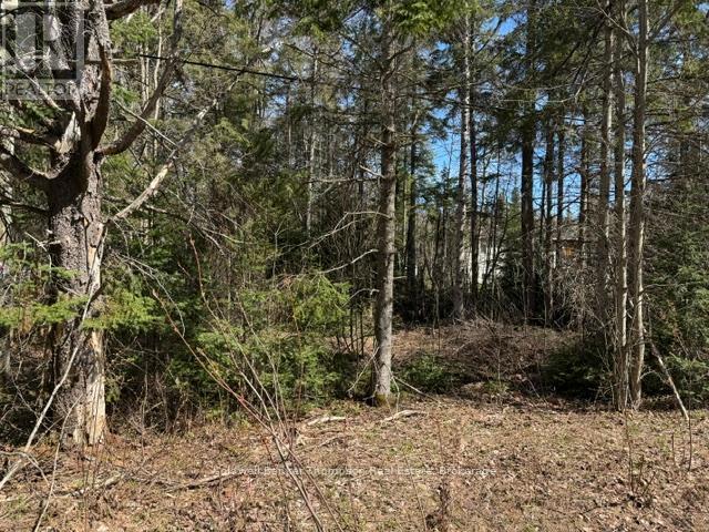 000 Highway 518 West Highway, Mcmurrich/monteith, Ontario P0A 1Y0 - Photo 2 - X13217996