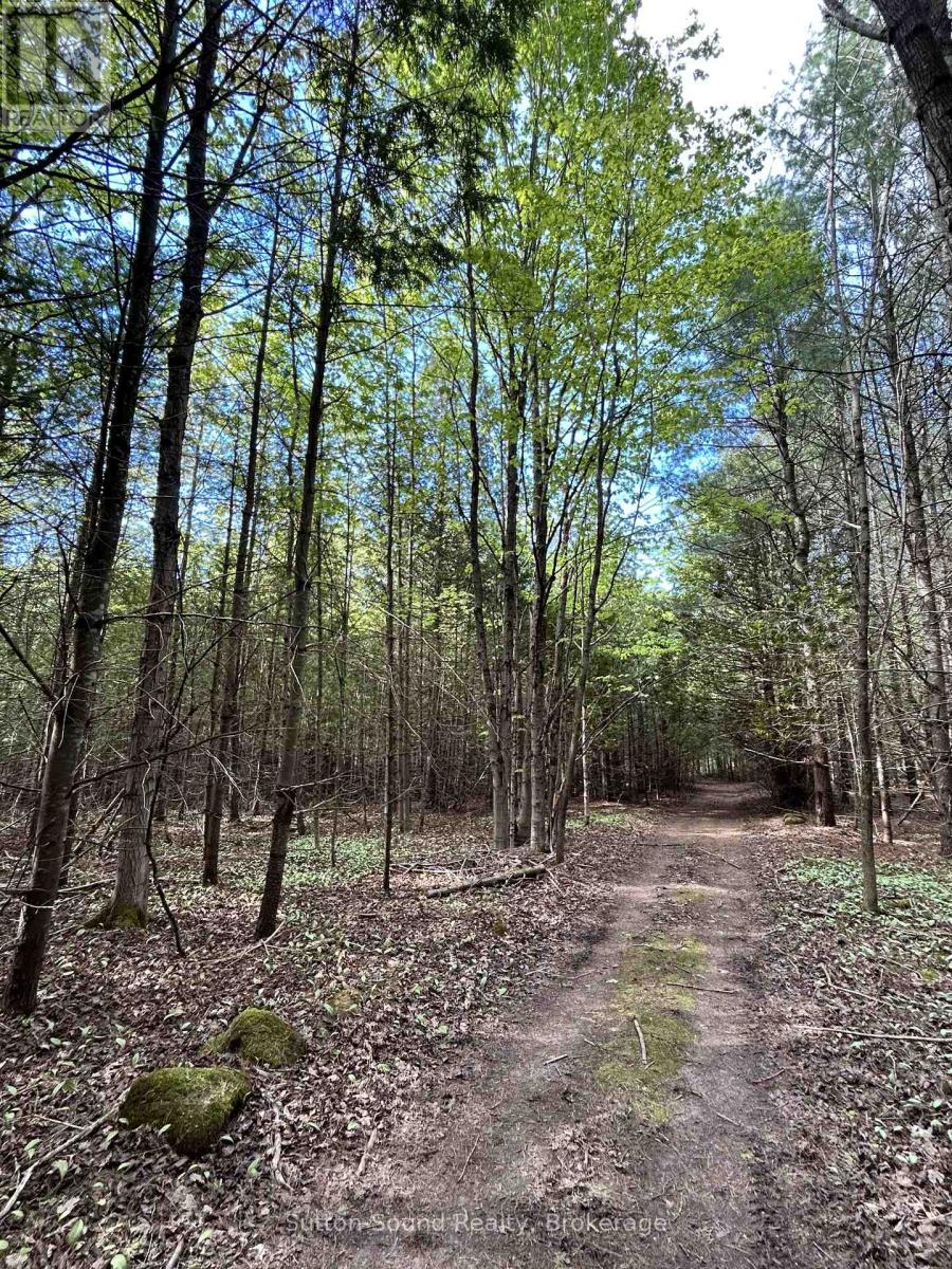 Lot 24 Concession 14 Keppel Concession, Georgian Bluffs, Ontario  N0H 2K0 - Photo 5 - X13159882