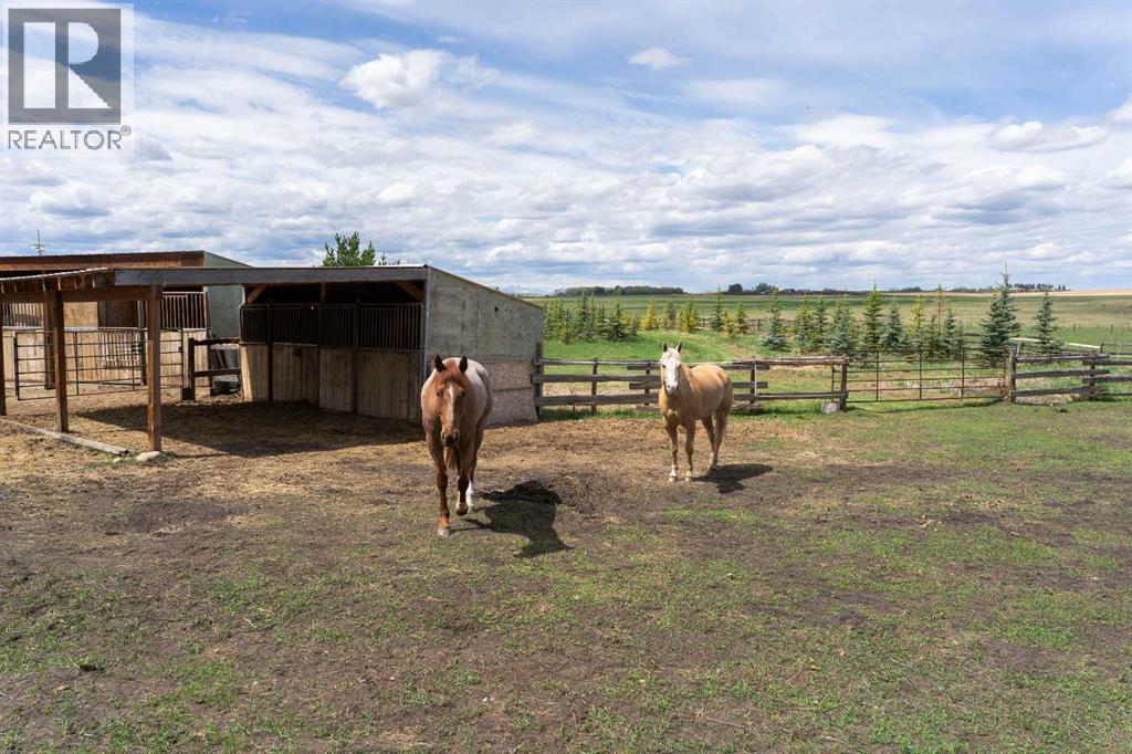 244098 Panorama Ridge Sw, Rural Rocky View County, Alberta  T3Z 3L6 - Photo 37 - A2314459