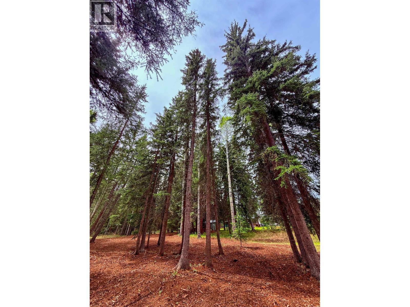 7532 Thomas Point Road, Sheridan Lake, British Columbia  V0K 1X1 - Photo 28 - R3129984