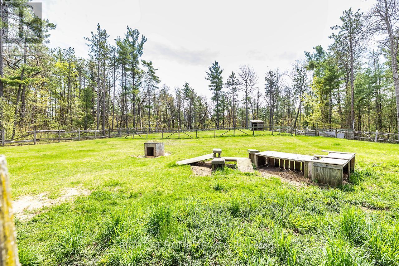 414 Pratt Road, Alnwick/haldimand, Ontario  K0K 3K0 - Photo 25 - X13209966