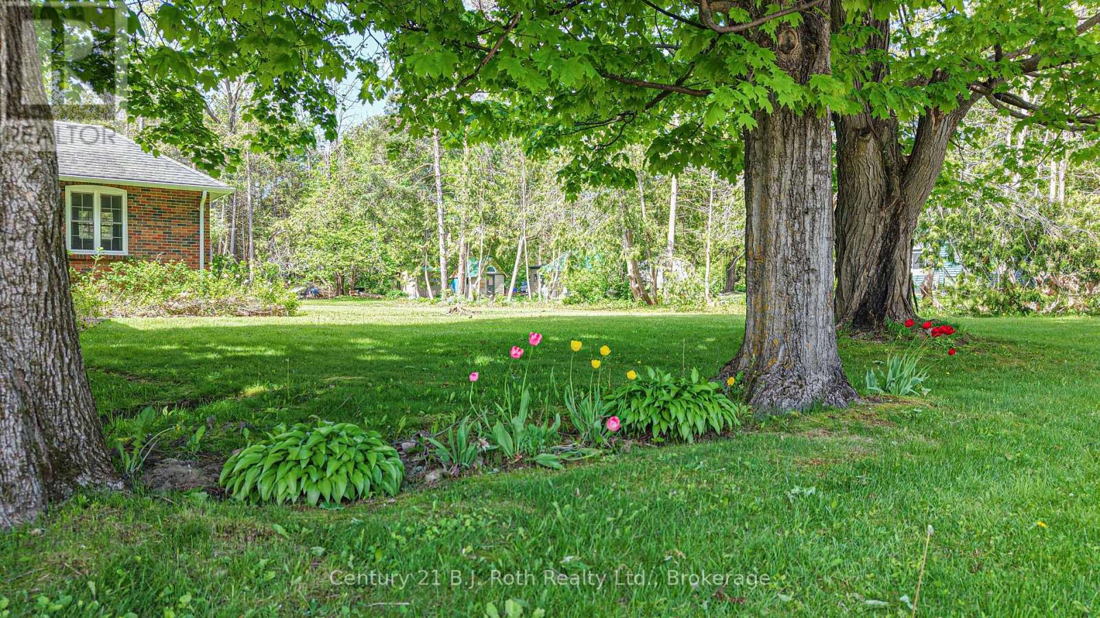 330 11 Line S, Oro-Medonte, Ontario  L0L 1T0 - Photo 38 - S12905740