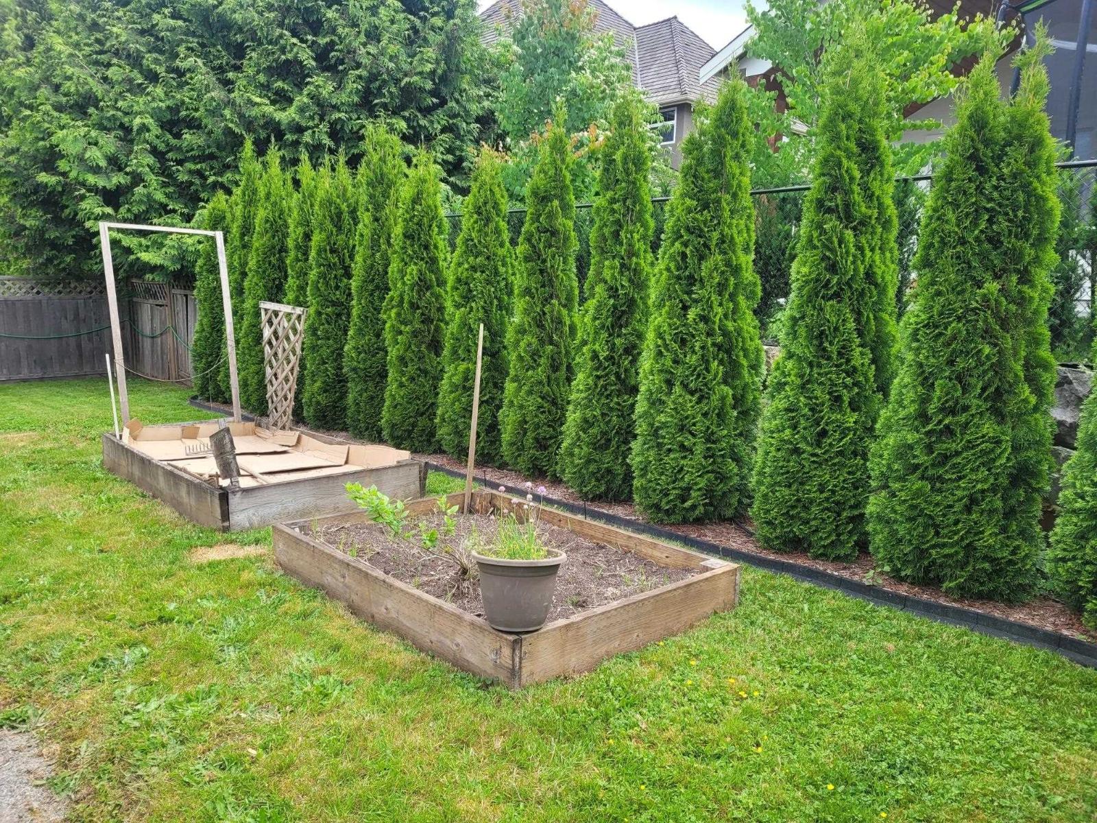 3712 Dunsmuir Way, Abbotsford, British Columbia  V2S 6J2 - Photo 34 - R3128675