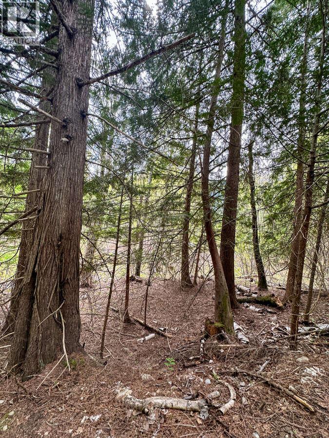 Highway 6 Lot# 4, Passmore, British Columbia  V0G 2E0 - Photo 30 - 10389551