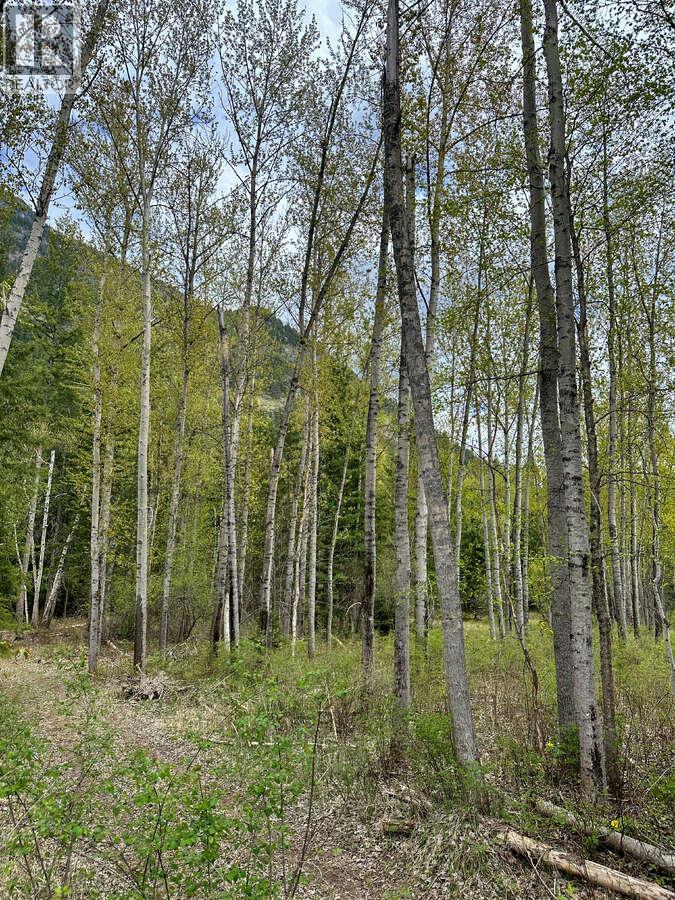 Highway 6 Lot# 4, Passmore, British Columbia  V0G 2E0 - Photo 14 - 10389551