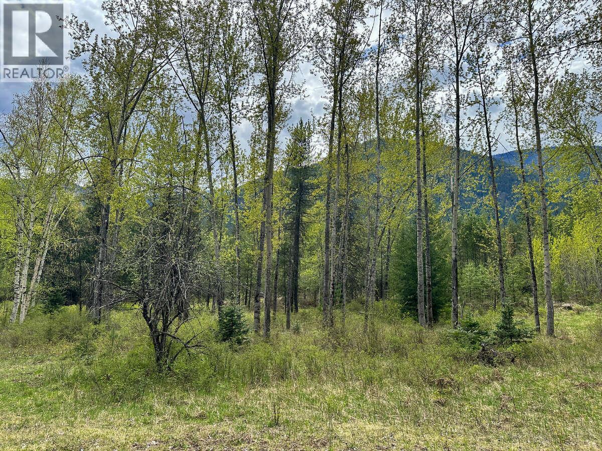 Highway 6 Lot# 4, Passmore, British Columbia  V0G 2E0 - Photo 4 - 10389551