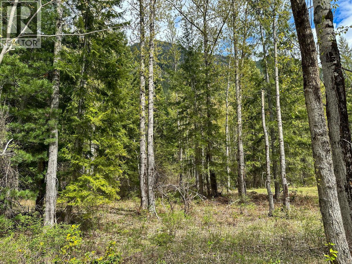 Highway 6 Lot# 4, Passmore, British Columbia  V0G 2E0 - Photo 10 - 10389551