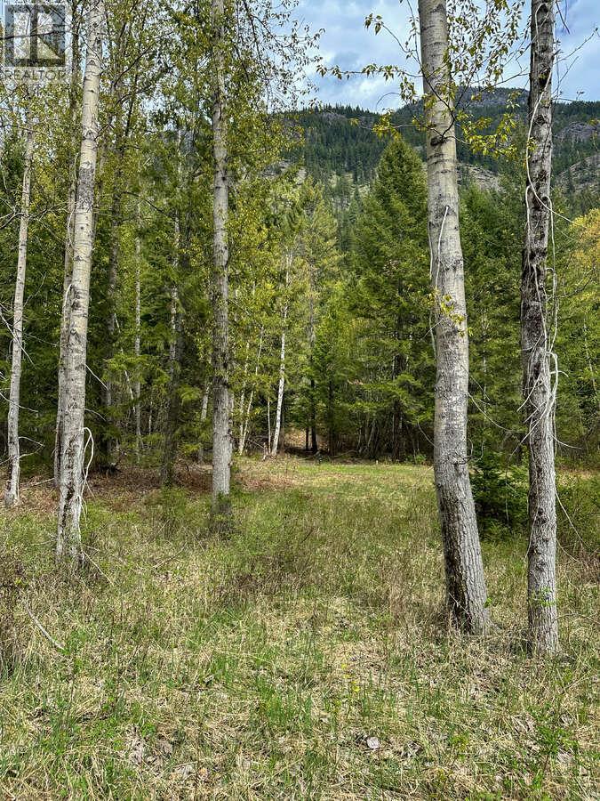 Highway 6 Lot# 4, Passmore, British Columbia  V0G 2E0 - Photo 11 - 10389551