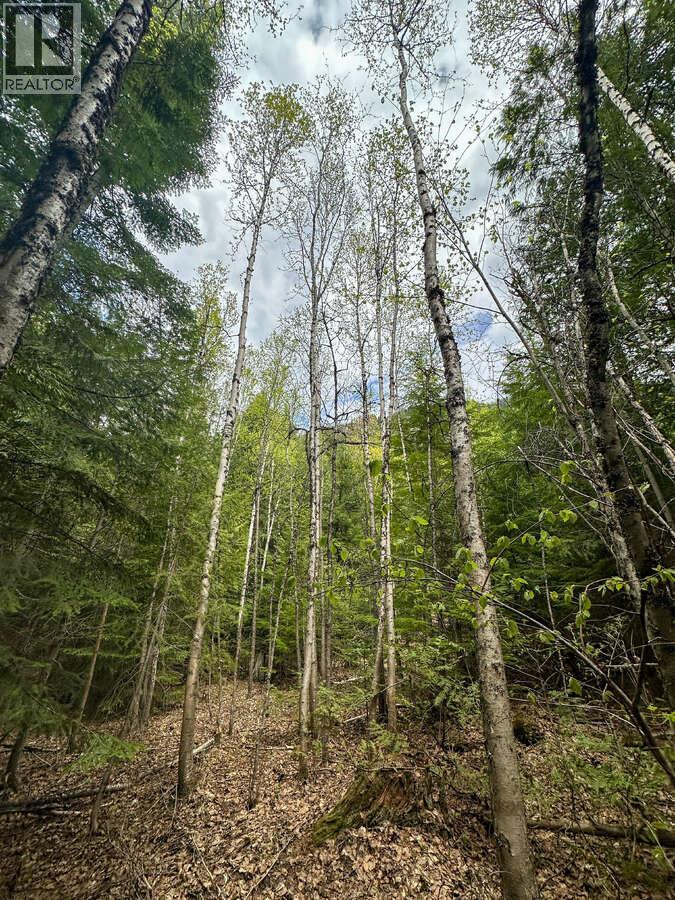 Highway 6 Lot# 4, Passmore, British Columbia  V0G 2E0 - Photo 20 - 10389551