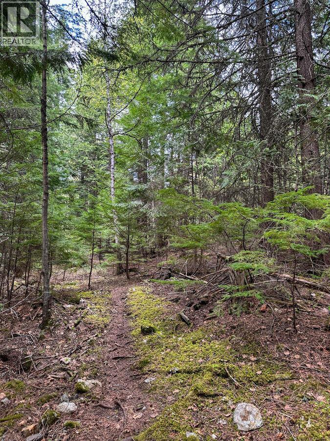 Highway 6 Lot# 4, Passmore, British Columbia  V0G 2E0 - Photo 21 - 10389551