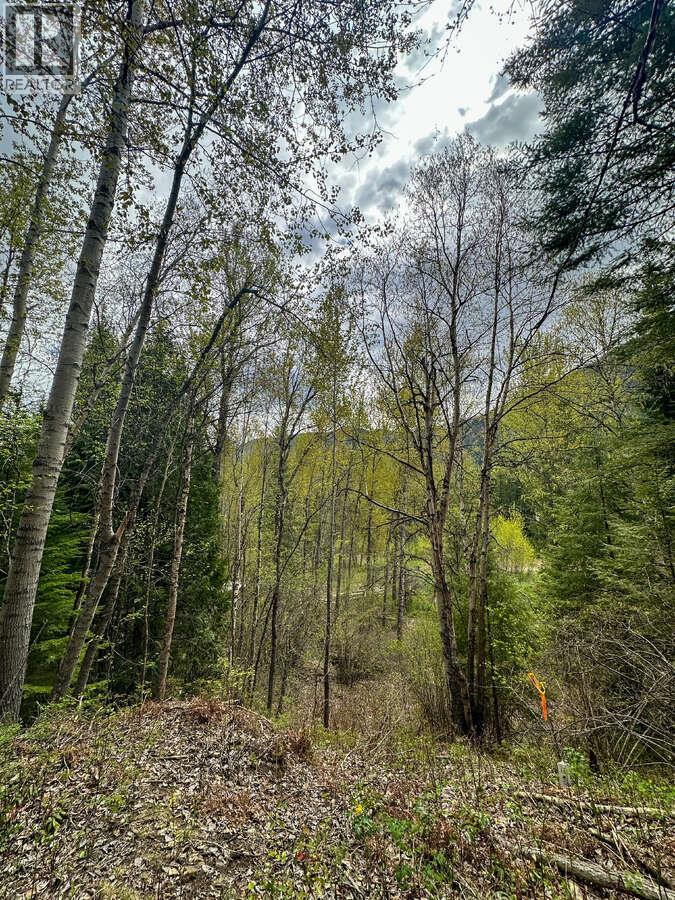 Highway 6 Lot# 4, Passmore, British Columbia  V0G 2E0 - Photo 25 - 10389551