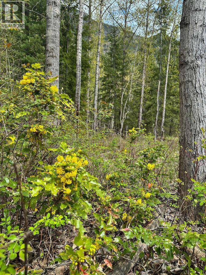 Highway 6 Lot# 4, Passmore, British Columbia  V0G 2E0 - Photo 8 - 10389551