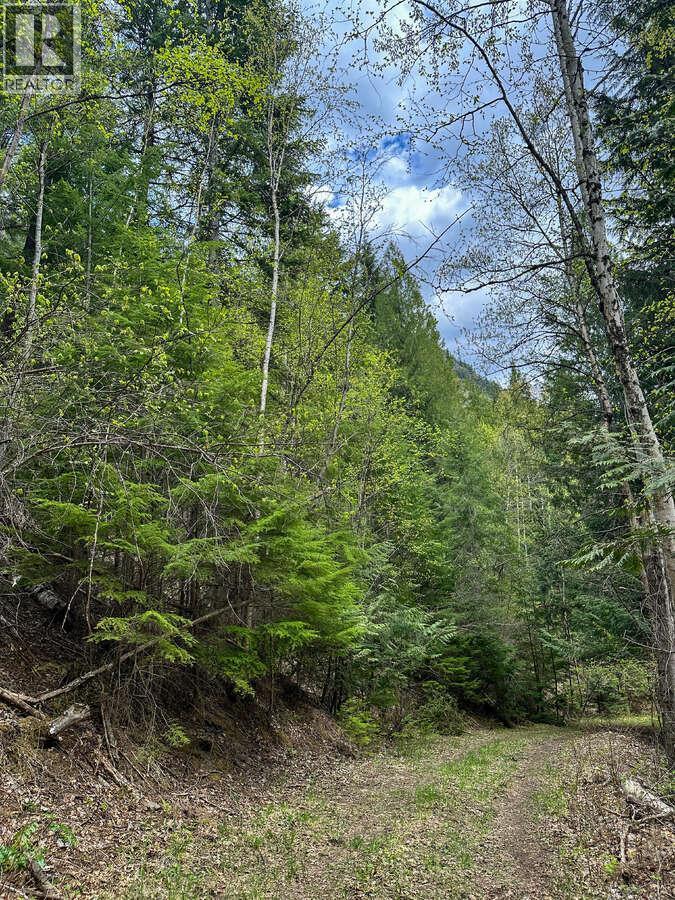 Highway 6 Lot# 4, Passmore, British Columbia  V0G 2E0 - Photo 27 - 10389551