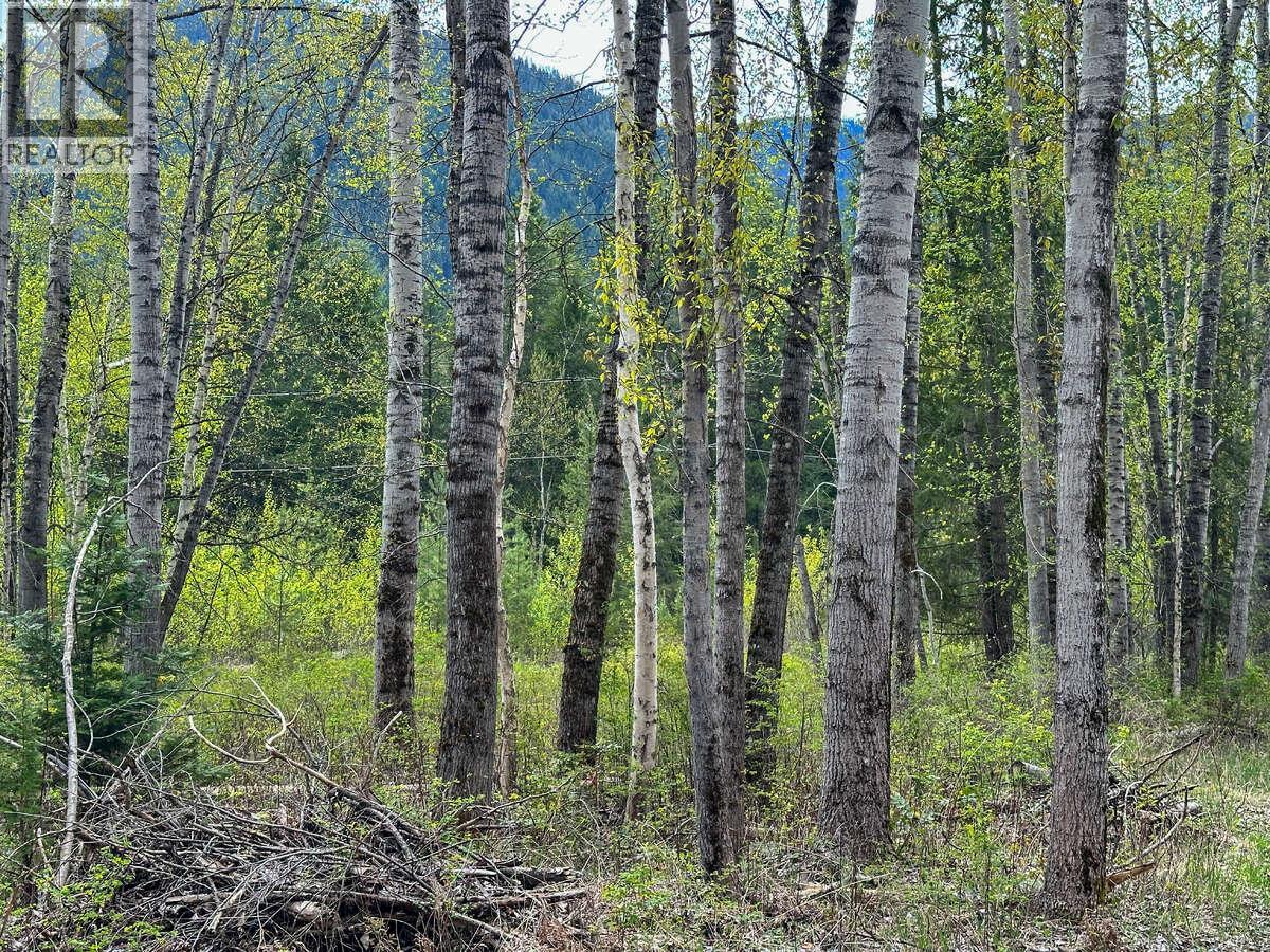 Highway 6 Lot# 4, Passmore, British Columbia  V0G 2E0 - Photo 5 - 10389551