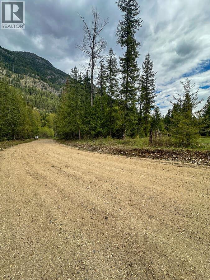 Highway 6 Lot# 4, Passmore, British Columbia  V0G 2E0 - Photo 34 - 10389551