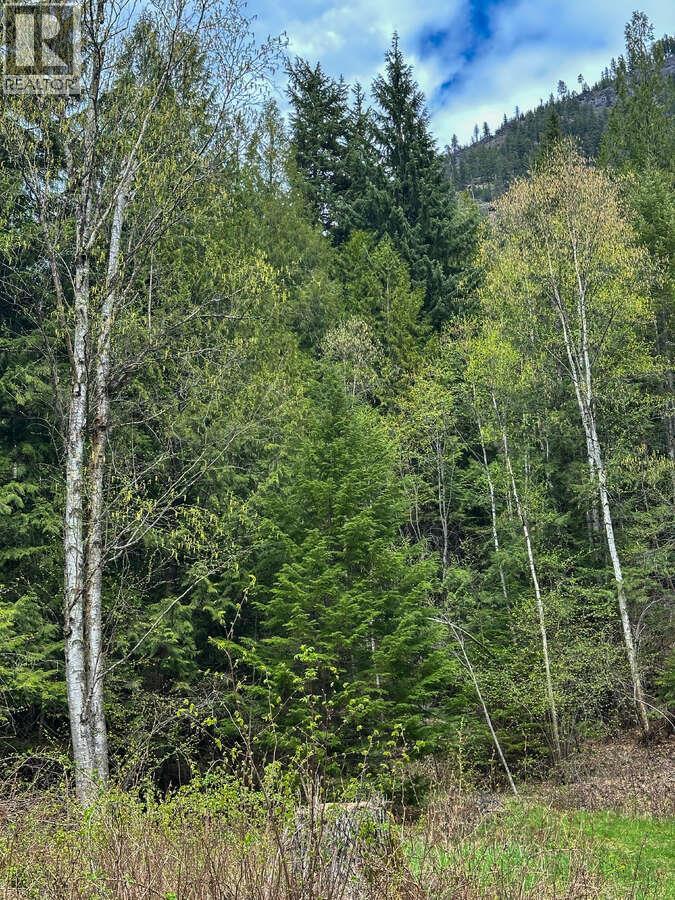 Highway 6 Lot# 4, Passmore, British Columbia  V0G 2E0 - Photo 15 - 10389551