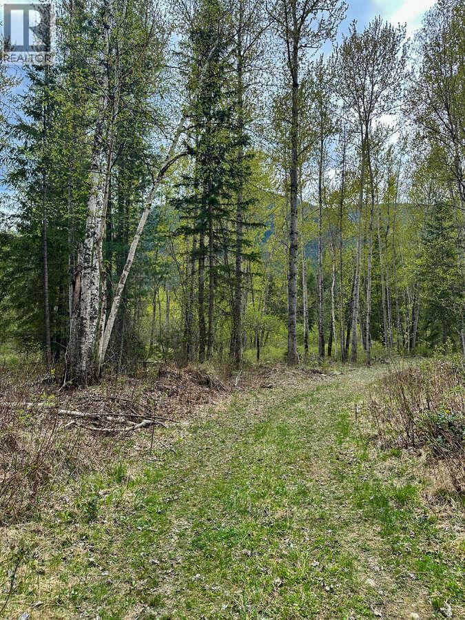 Highway 6 Lot# 4, Passmore, British Columbia  V0G 2E0 - Photo 32 - 10389551