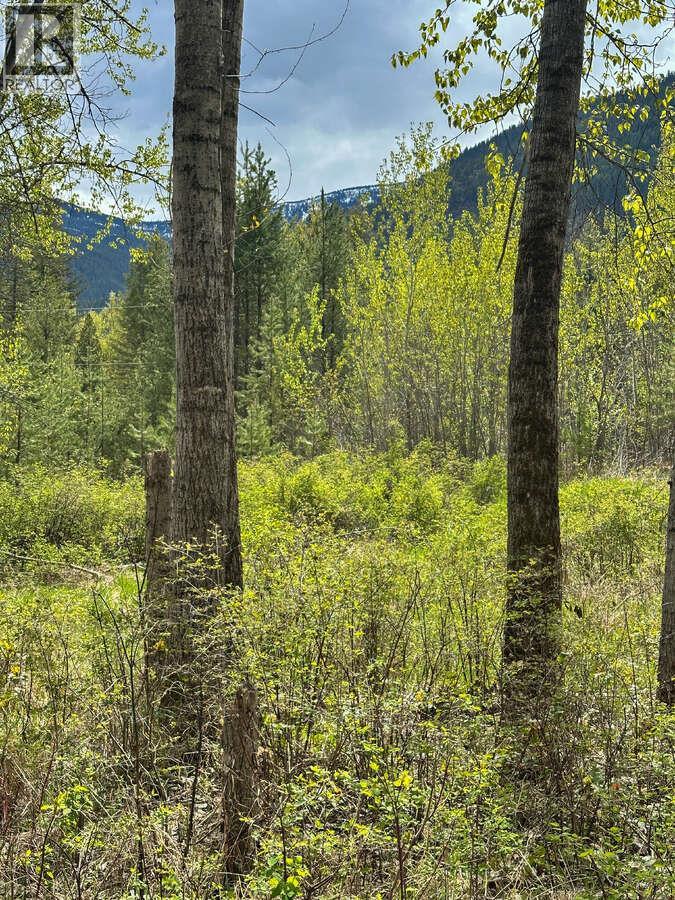Highway 6 Lot# 4, Passmore, British Columbia  V0G 2E0 - Photo 16 - 10389551