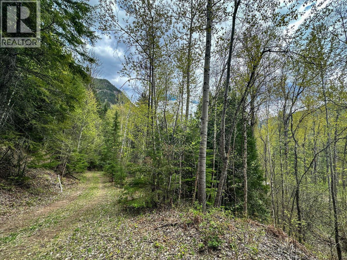 Highway 6 Lot# 4, Passmore, British Columbia  V0G 2E0 - Photo 26 - 10389551