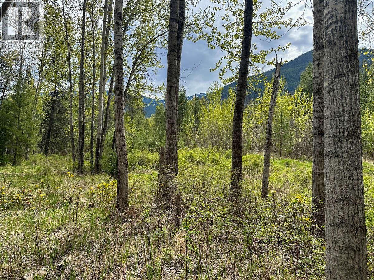 Highway 6 Lot# 4, Passmore, British Columbia  V0G 2E0 - Photo 7 - 10389551