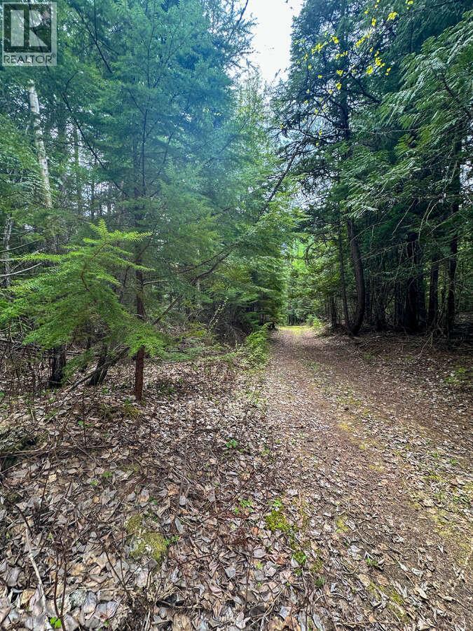 Highway 6 Lot# 4, Passmore, British Columbia  V0G 2E0 - Photo 24 - 10389551