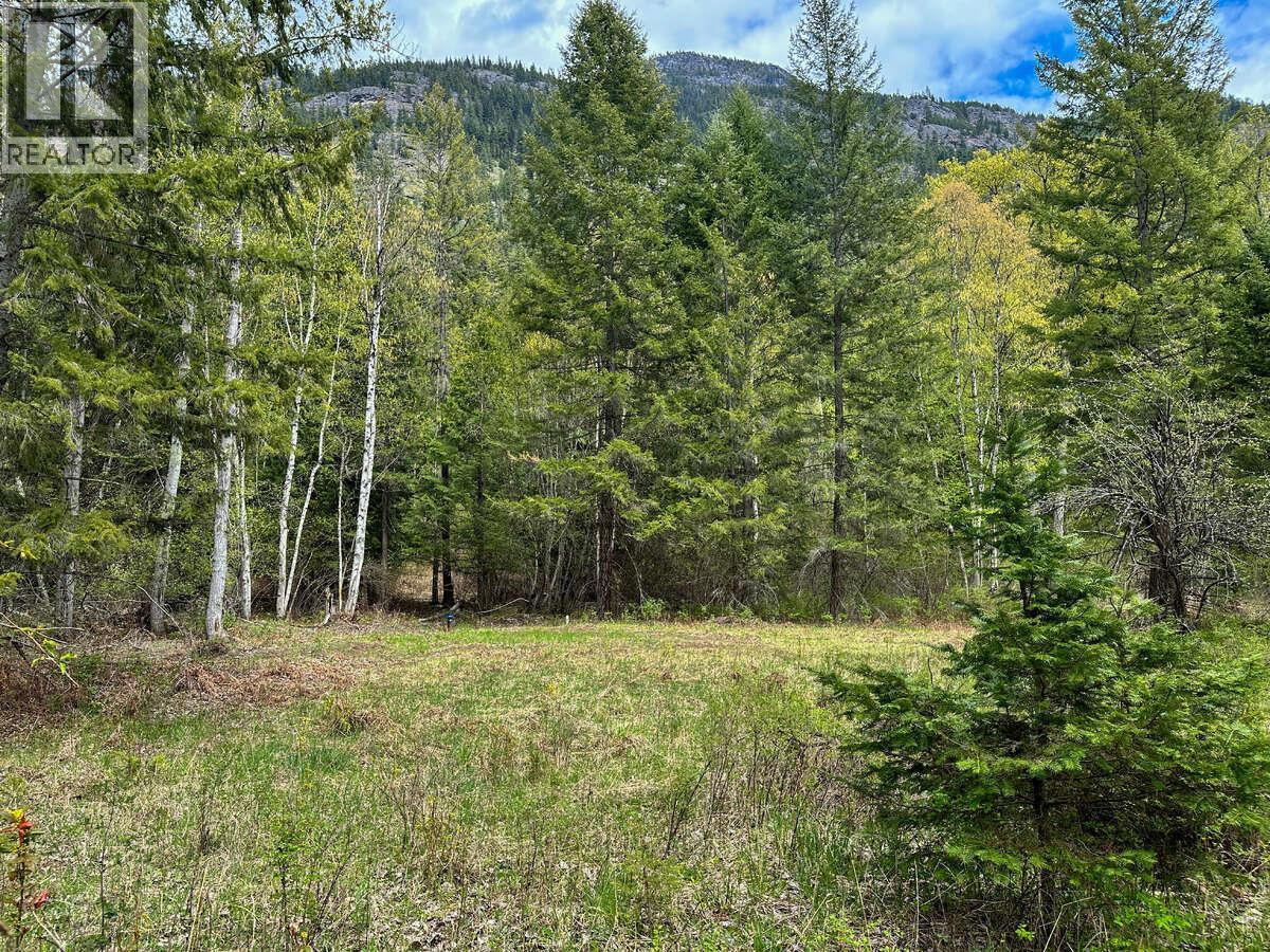 Highway 6 Lot# 4, Passmore, British Columbia  V0G 2E0 - Photo 6 - 10389551