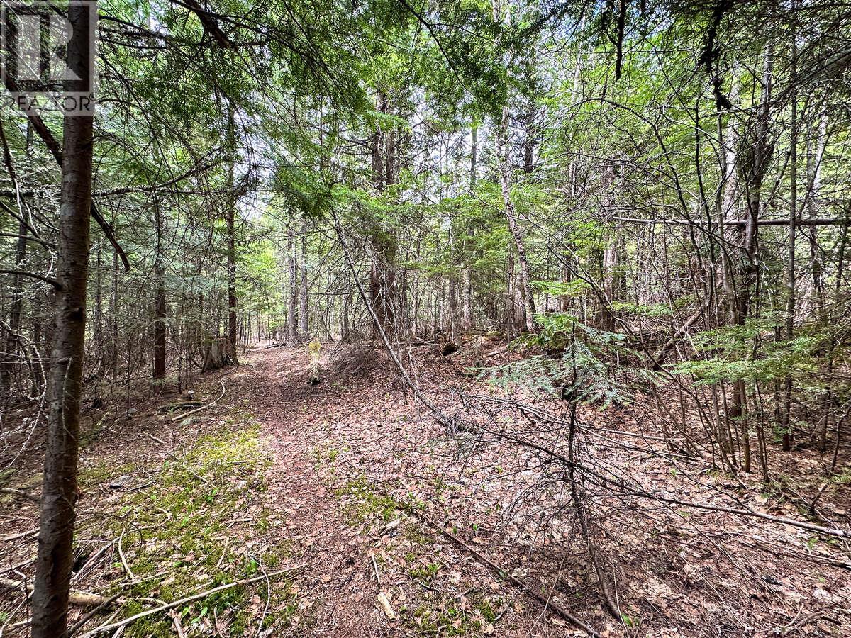 Highway 6 Lot# 4, Passmore, British Columbia  V0G 2E0 - Photo 17 - 10389551