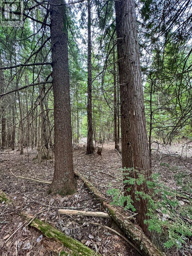 Highway 6 Lot# 4, Passmore, British Columbia  V0G 2E0 - Photo 23 - 10389551