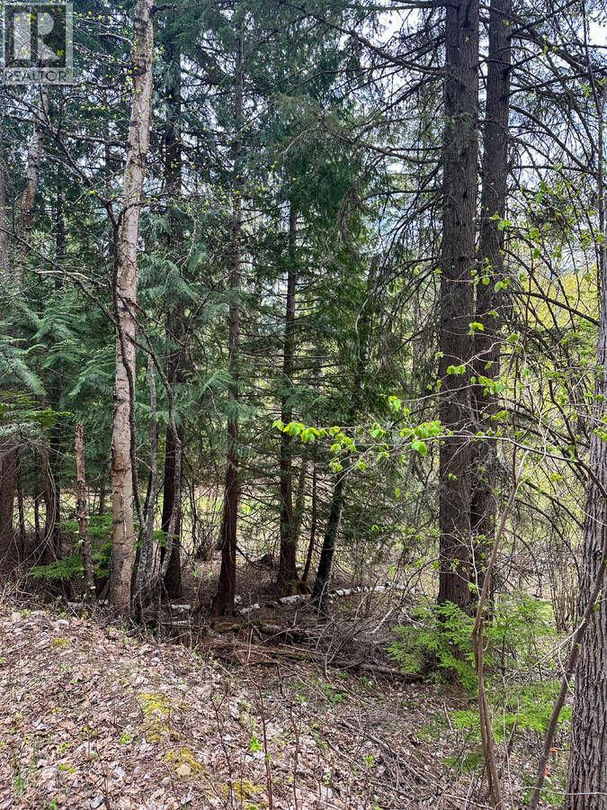 Highway 6 Lot# 4, Passmore, British Columbia  V0G 2E0 - Photo 28 - 10389551
