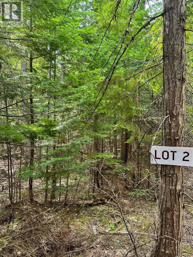 Highway 6 Lot# 4, Passmore, British Columbia  V0G 2E0 - Photo 33 - 10389551