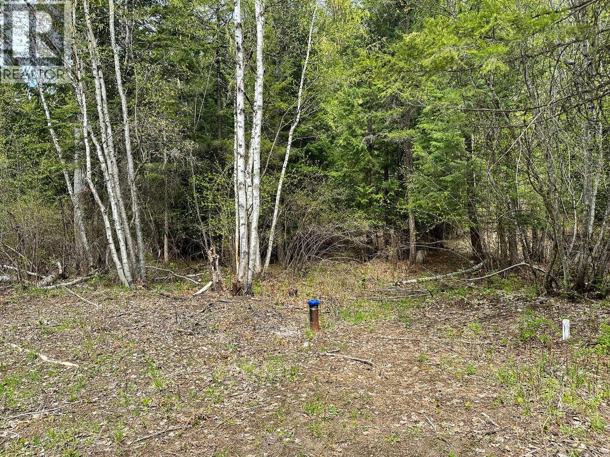 Highway 6 Lot# 4, Passmore, British Columbia  V0G 2E0 - Photo 13 - 10389551
