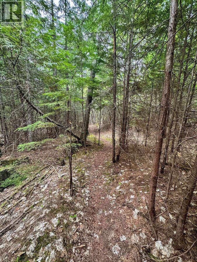 Highway 6 Lot# 4, Passmore, British Columbia  V0G 2E0 - Photo 18 - 10389551