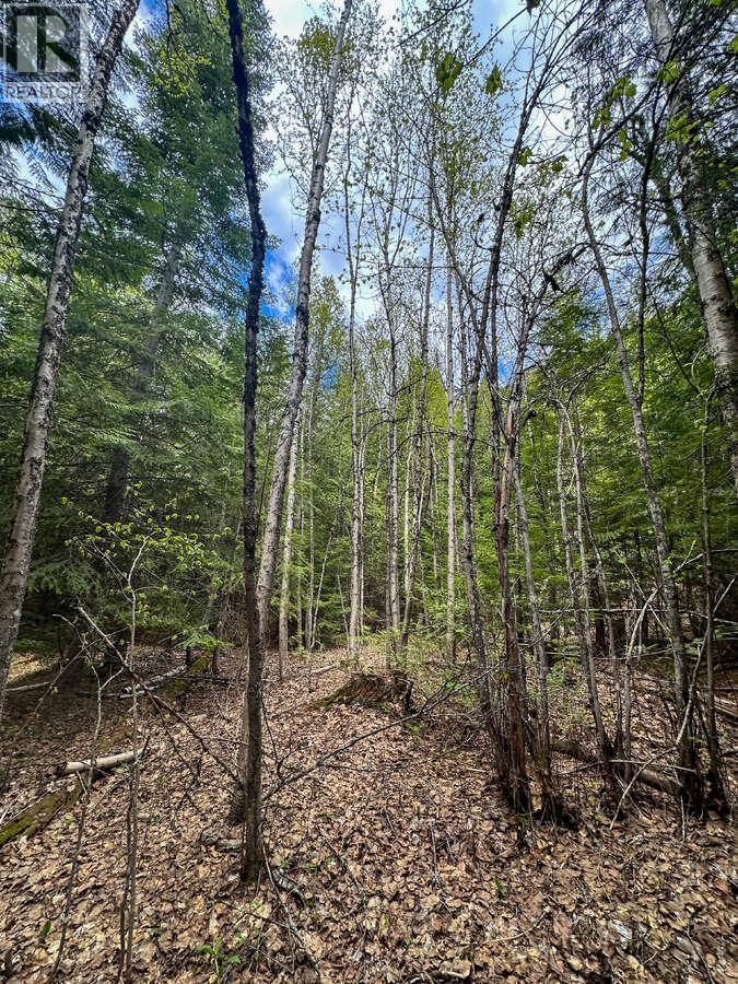 Highway 6 Lot# 4, Passmore, British Columbia  V0G 2E0 - Photo 19 - 10389551