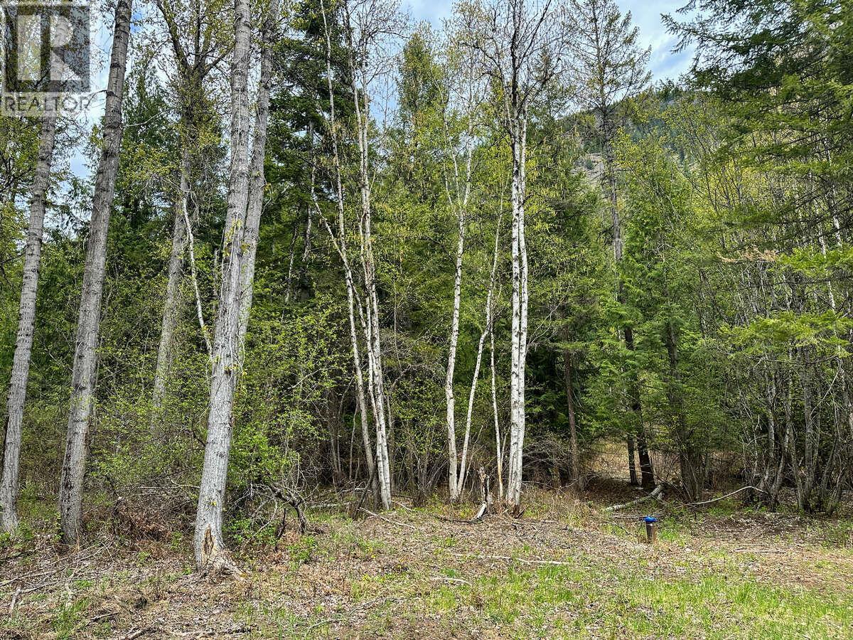 Highway 6 Lot# 4, Passmore, British Columbia  V0G 2E0 - Photo 9 - 10389551