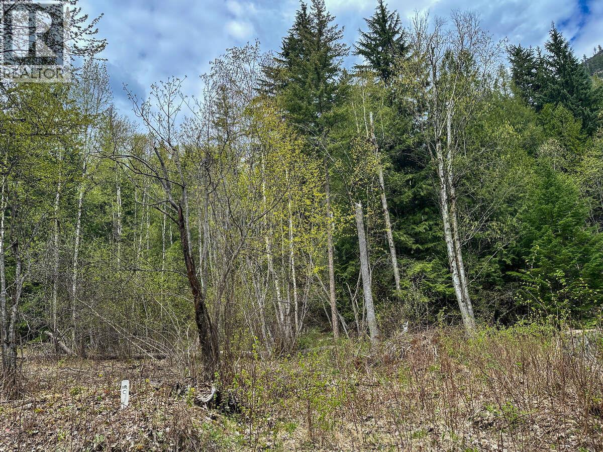 Highway 6 Lot# 4, Passmore, British Columbia  V0G 2E0 - Photo 12 - 10389551