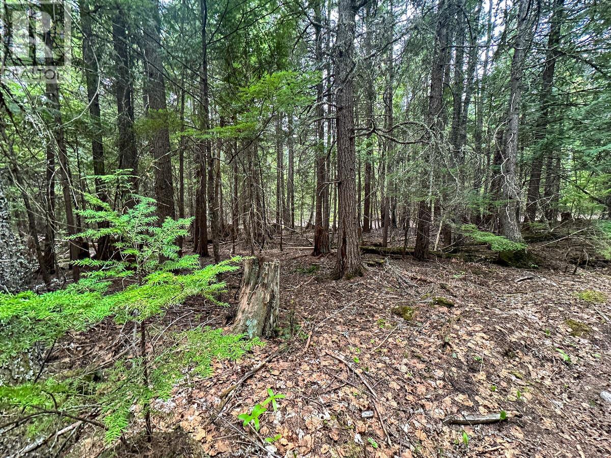 Highway 6 Lot# 4, Passmore, British Columbia  V0G 2E0 - Photo 22 - 10389551