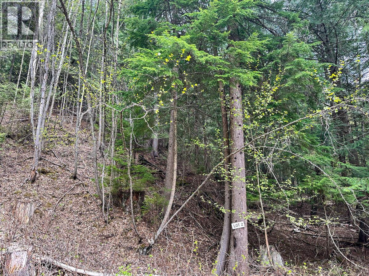 Highway 6 Lot# 4, Passmore, British Columbia  V0G 2E0 - Photo 31 - 10389551