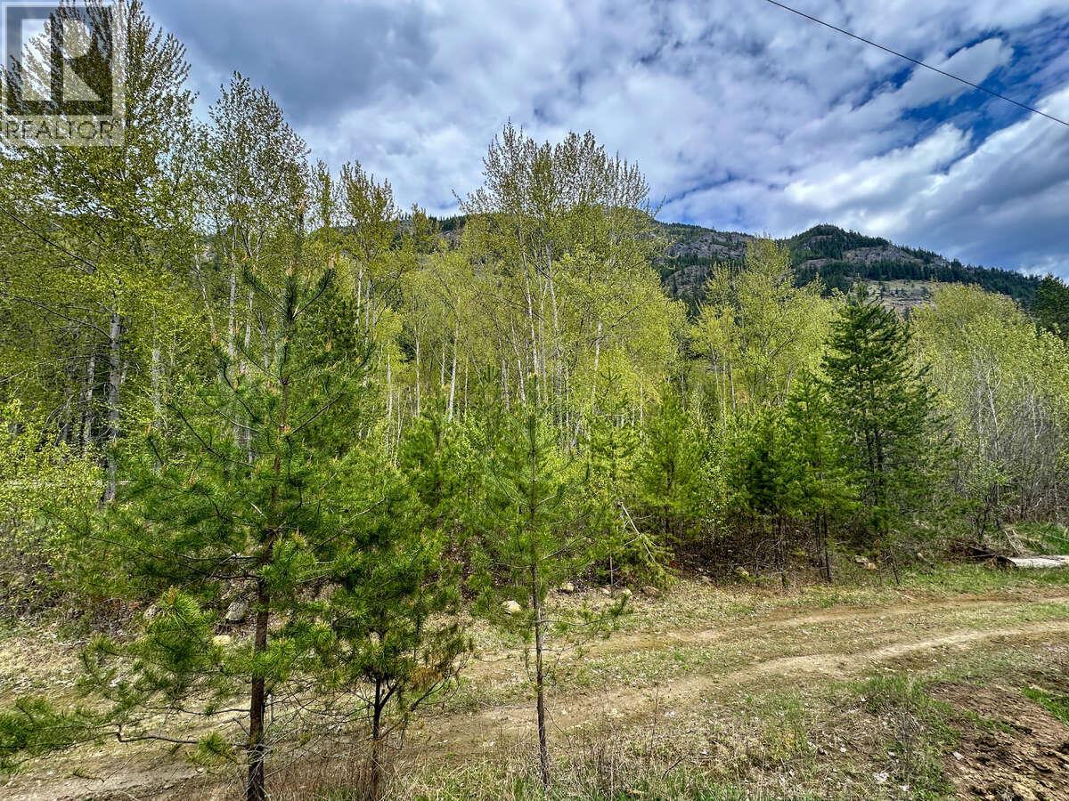 Highway 6 Lot# 4, passmore, British Columbia
