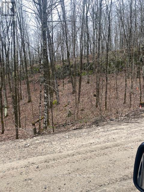 00 Landon Road, Bancroft, Ontario K0L 1C0 - Photo 2 - X13218480