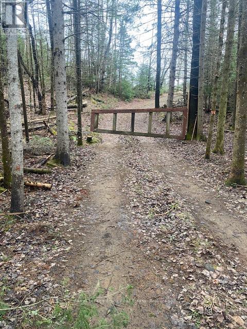00 Landon Road, Bancroft, Ontario K0L 1C0 - Photo 3 - X13218480