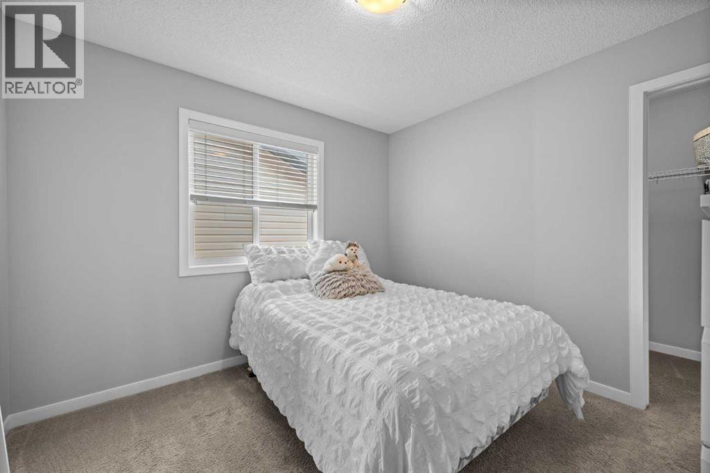 249 Auburn Meadows Place Se, Calgary, Alberta  T3M 2H6 - Photo 33 - A2316325