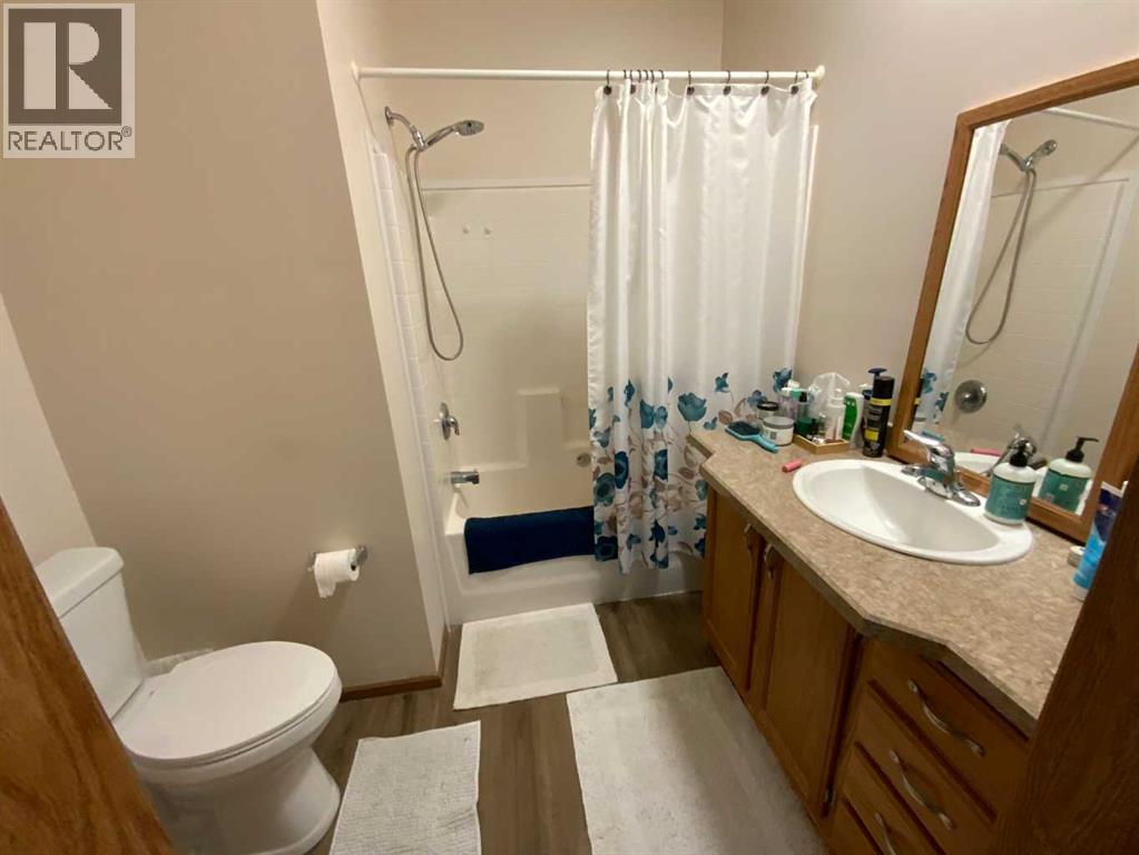 6 Cherry Lane Se, Three Hills, Alberta  T0M 2A0 - Photo 6 - A2300313