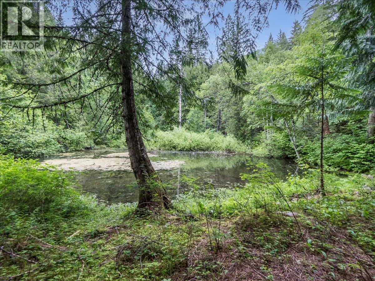 1990 6 Highway, Crescent Valley, British Columbia  V0G 1H0 - Photo 49 - 10388513
