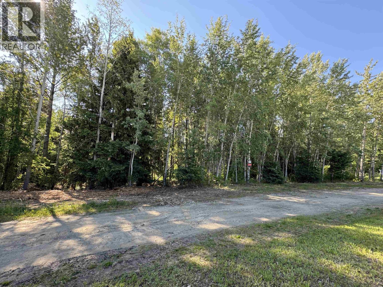 1360 Main Street, Valemount, British Columbia  V0E 2Z0 - Photo 9 - R3129847