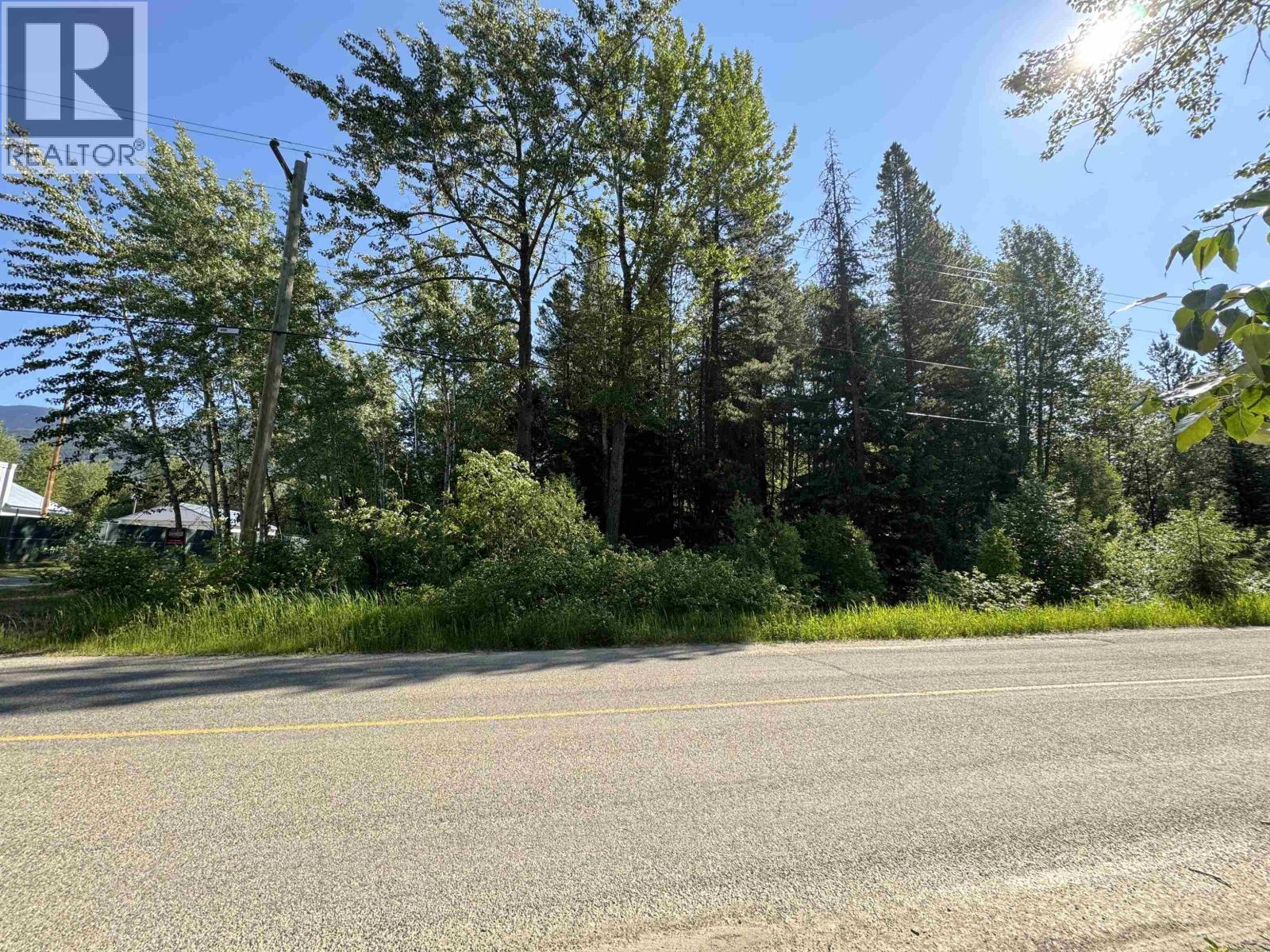 1360 Main Street, Valemount, British Columbia  V0E 2Z0 - Photo 4 - R3129847