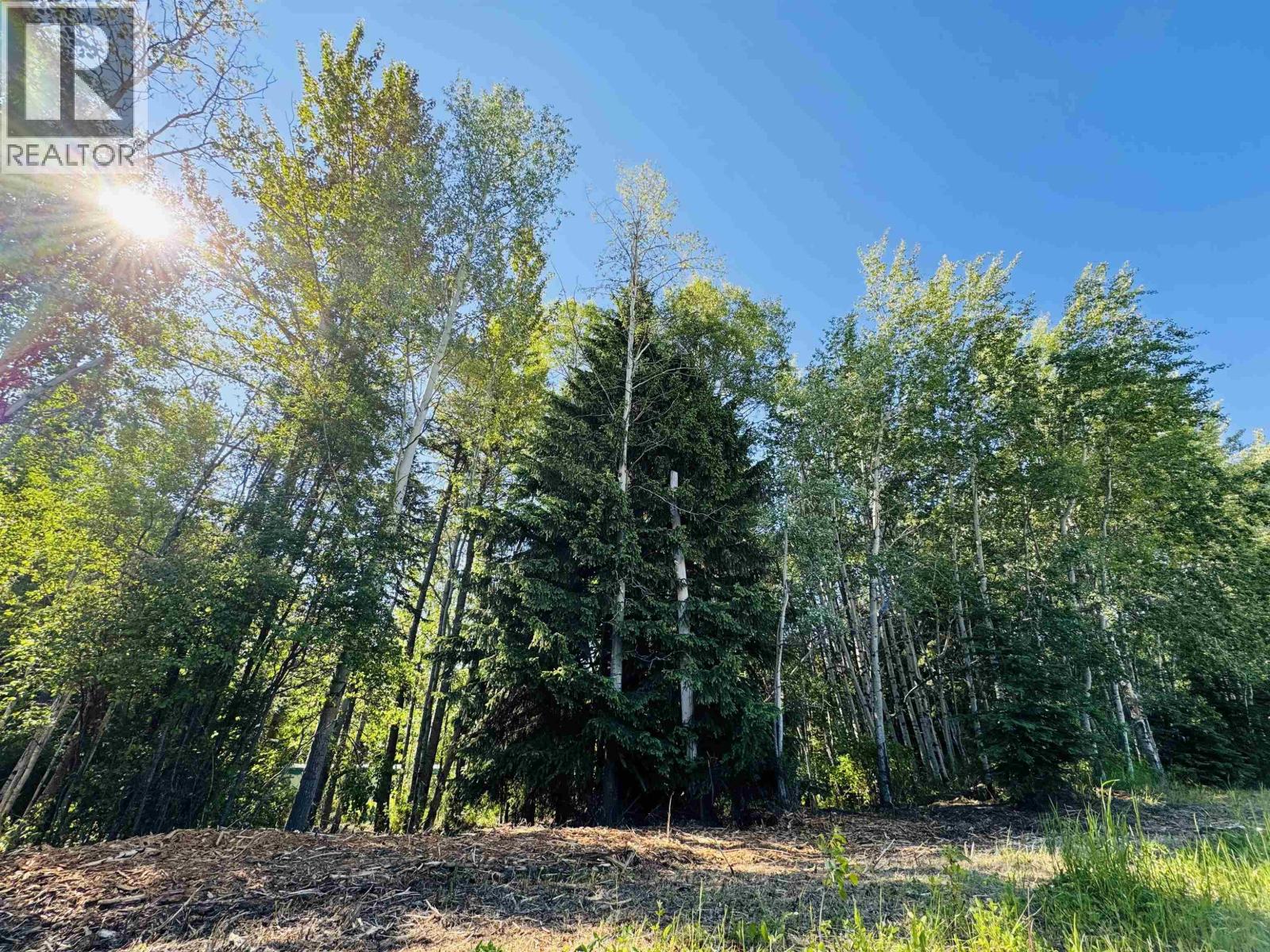 1360 Main Street, Valemount, British Columbia  V0E 2Z0 - Photo 13 - R3129847