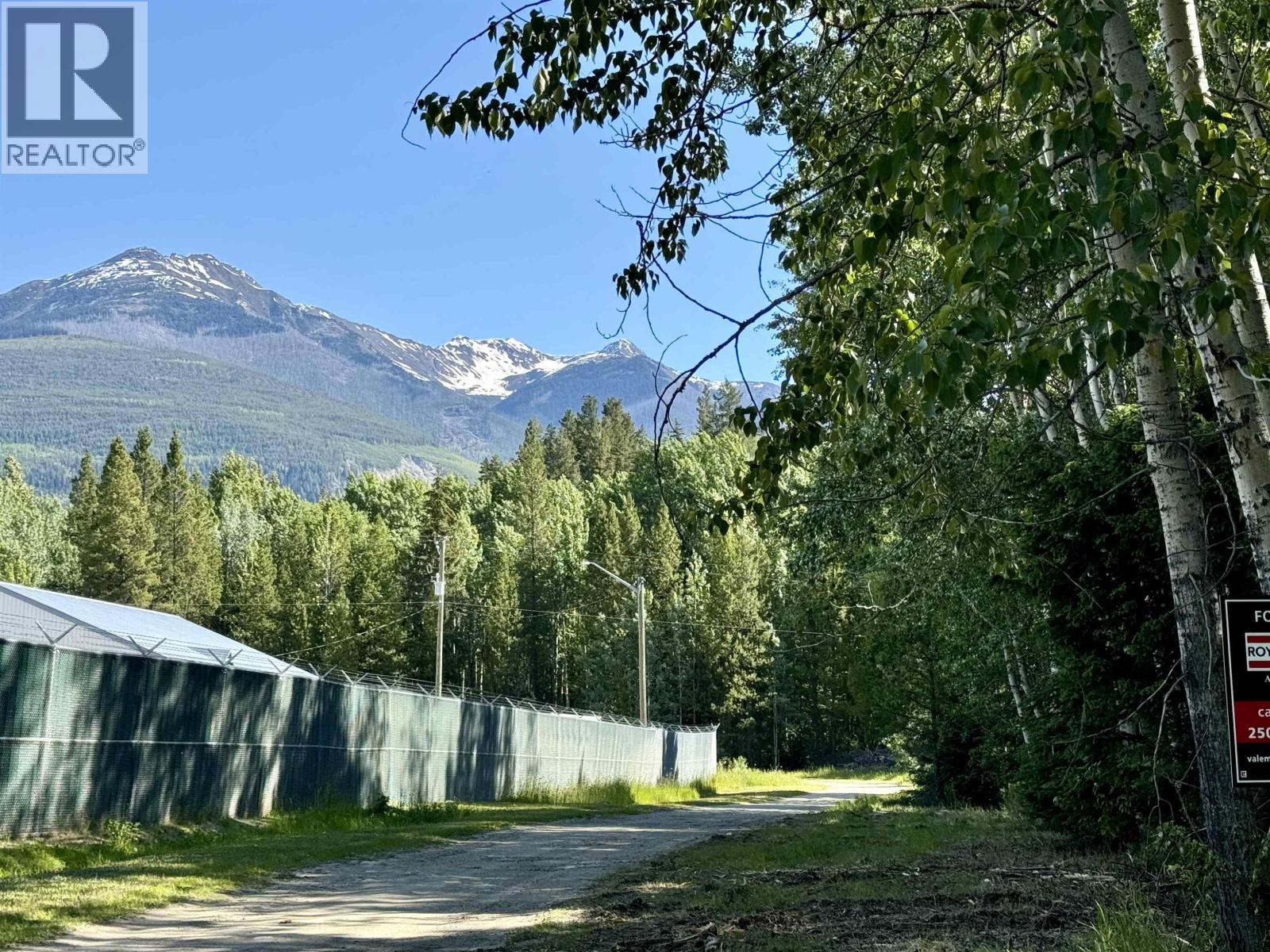 1360 Main Street, Valemount, British Columbia  V0E 2Z0 - Photo 14 - R3129847