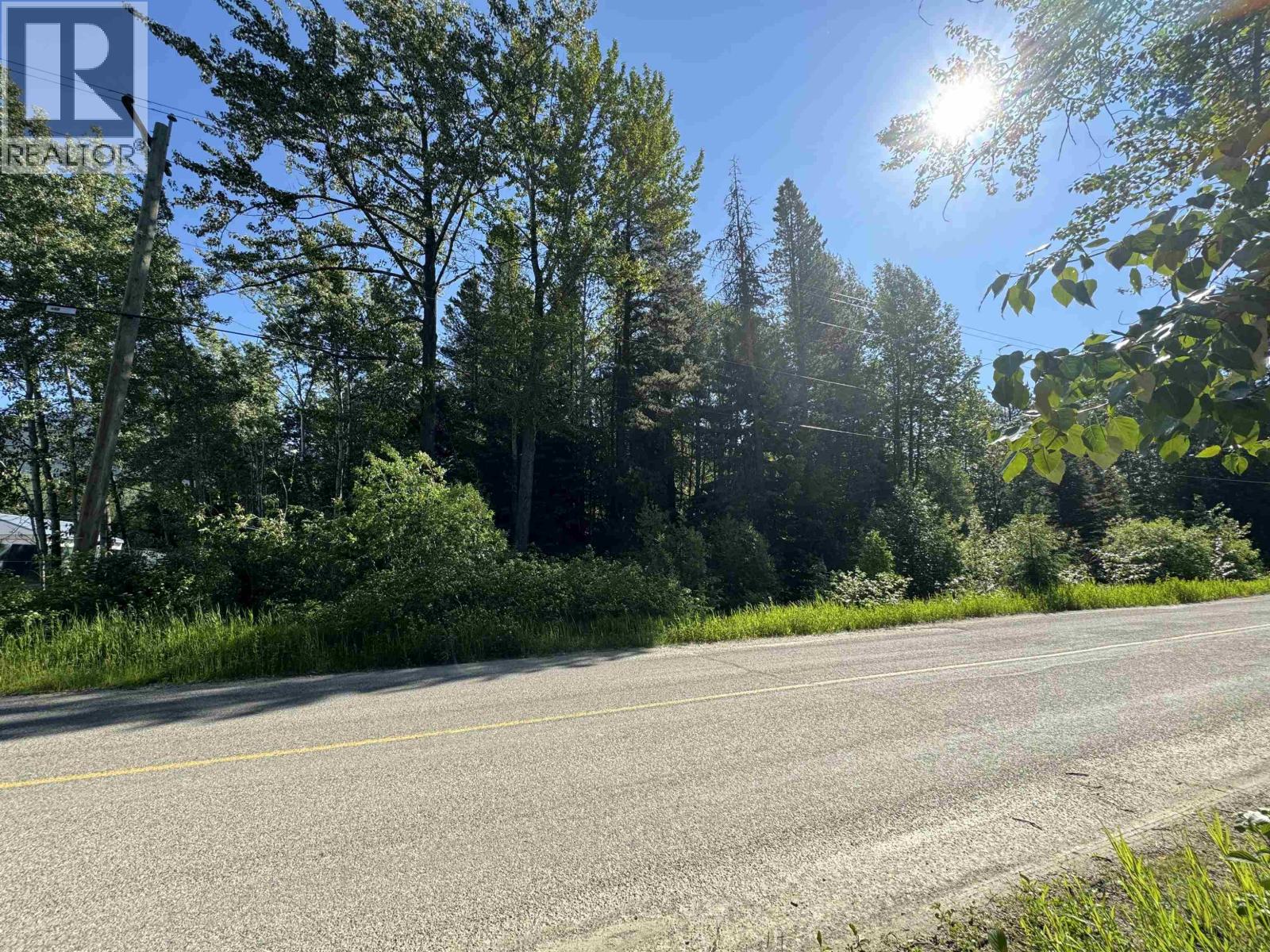 1360 Main Street, Valemount, British Columbia  V0E 2Z0 - Photo 3 - R3129847